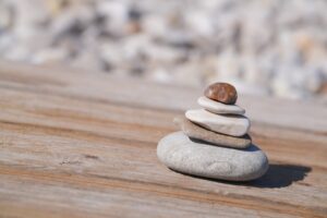 Photo Balancing Macronutrients