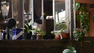 Photo Non-Toxic Home Environment