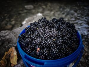 Photo High-Fiber Diet
