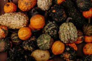 Photo Micronutrient Density