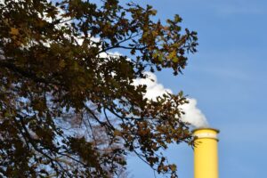 Photo Reducing Environmental Toxins