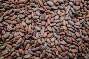 Photo Plant-Based Protein Sources