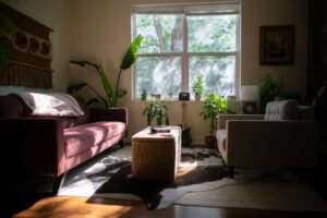 Photo Toxic-Free Home Environment