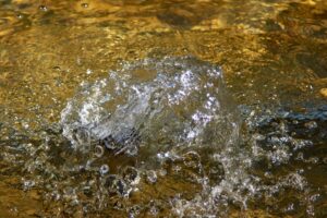 Photo Cold Water Immersion
