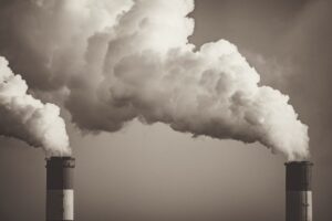 Photo Reducing Environmental Toxins
