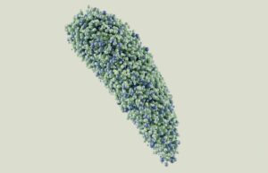 Photo Micronutrient Density