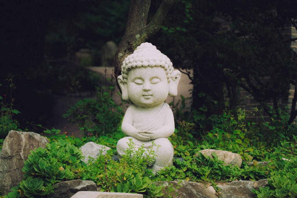 Wellness Wisdom: Mindfulness Practices for Daily Stress Management