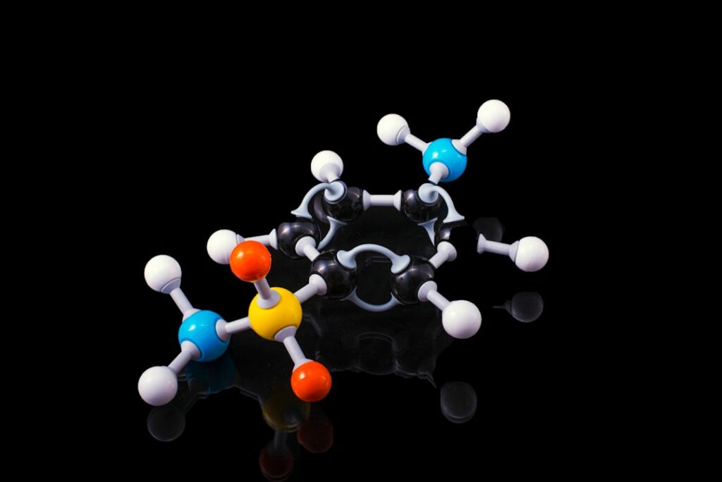 Fitness Fundamentals: The Importance of Protein Synthesis