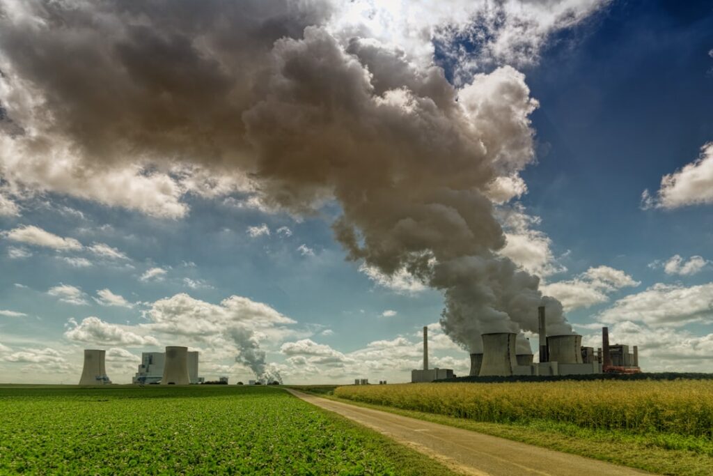 Healthy Living: Reducing Environmental Toxins in Your Daily Environment