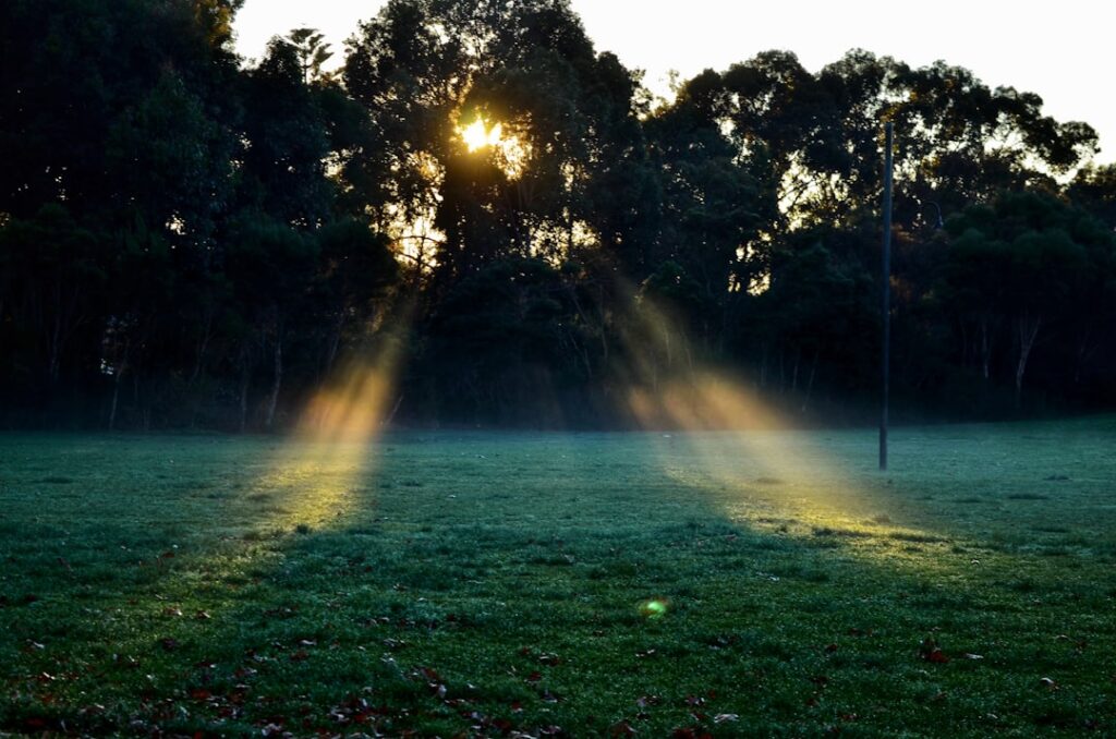 Wellness Wisdom: The Power of Morning Sunlight for Circadian Rhythm