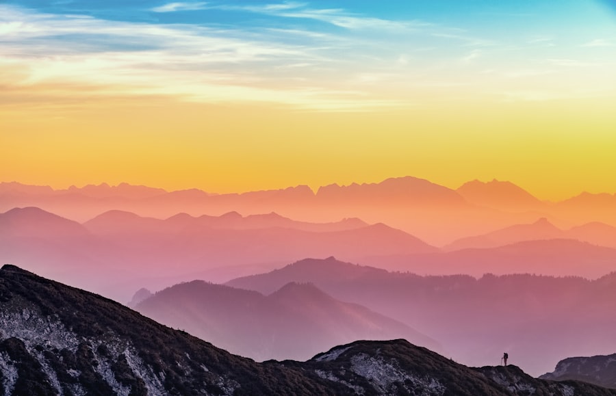 Wellness Wisdom: Managing Cortisol Through Adaptogenic Herbs