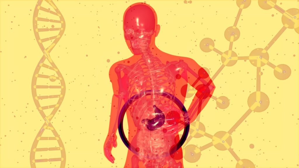 Nutritional Insights: Gut Health: The Impact of Fermented Foods