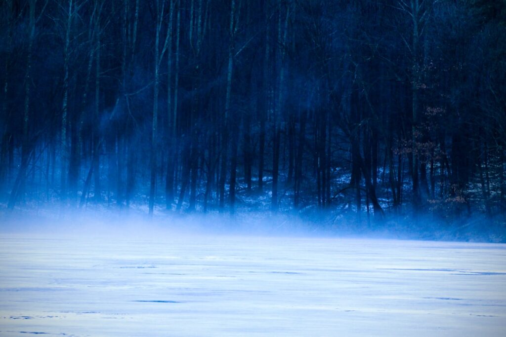 Healthy Living: The Science-Backed Benefits of Cold Exposure