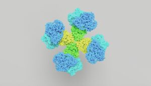 Photo Essential Amino Acids