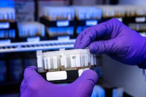 Photo Bioavailability