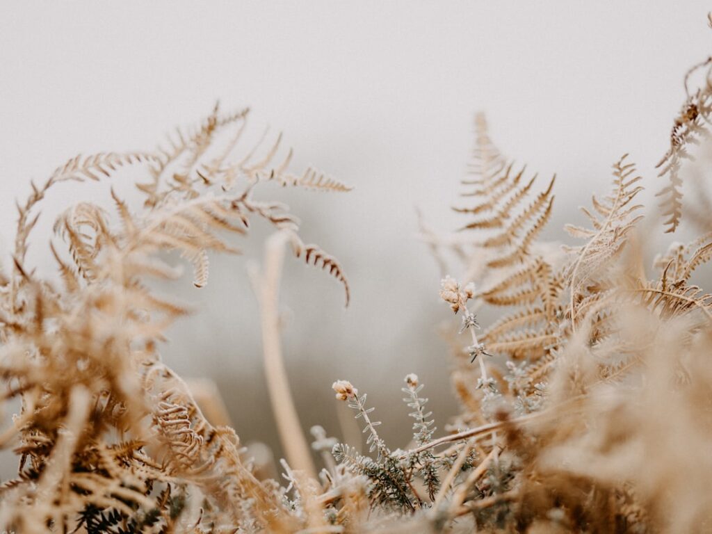 Healthy Living: The Benefits of Cold Exposure for Metabolic Health