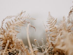 Photo Cold Exposure